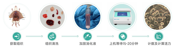 单细胞悬液制备仪操作流程.jpg