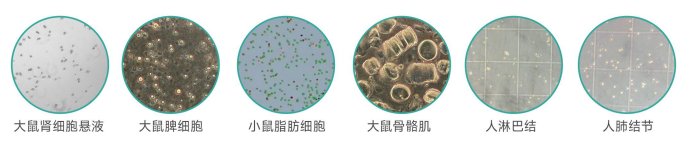 单细胞悬液制备仪样品范围.png